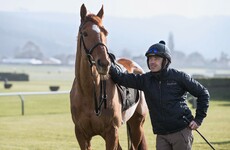 Will we have another Ruby Tuesday? Cheltenham Day One preview