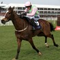 Vautour in late switch from Cheltenham Gold Cup to Ryanair Chase