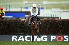 Mullins and Walsh dominate Cheltenham's opening day... again