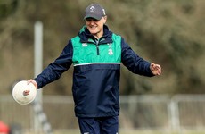 Schmidt ponders switches but Ireland XV may be unchanged for Scotland