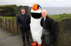Caption comp: Trap and Tardelli visit the Cliffs of Moher... and meet a giant puffin