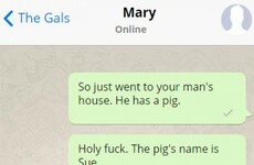 This is definitely what the girl from the Vodafone pig ad would text her mates