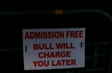 14 of the most Fermanagh things that have ever happened