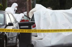 Third man arrested over murder of Vincent Ryan