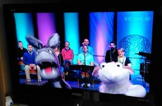 These two puppets presented Church service on RTÉ One this morning