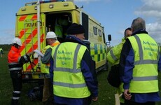 Man in his 40s dies after light aircraft crashes in Longford