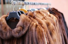 Clothing designer Armani to go fur-free and stop 'cruel practices' against animals