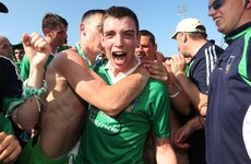 2013 Munster title winning forward departs the Limerick senior hurling panel