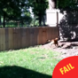 This man built a fence to keep his dog in the yard, but there's just one problem...
