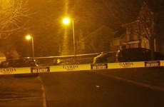 Associate of The Monk shot dead at housing estate in Co Meath