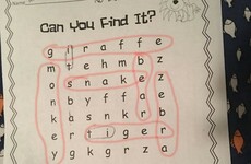 This little girl came up with the best answer on her first day of playschool