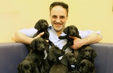 Everyone fell in love with the Irish 'Supervet' after last night's episode