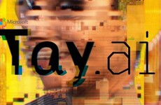 Internet racists taught Microsoft's bot to be a Holocaust-denying, Trump supporting racist