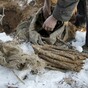 Korean War veterans want their brothers-in-arms found, identified and brought home