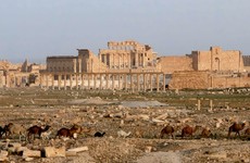 Islamic State has been forced out of Palmyra in a 'major symbolic victory' for Syrian forces