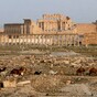Islamic State has been forced out of Palmyra in a 'major symbolic victory' for Syrian forces