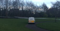 Bodies of man and his son found in stream in Dublin