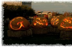 Google celebrates Halloween with special doodle