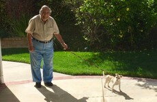 This 90-year-old grandad and his new dog are making people seriously emotional
