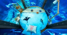 Sleep inside a shark tank for free in Airbnb's first underwater bedroom