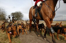 Fox hunting on JobBridge? Joan Burton says her hands are tied