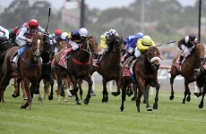 WATCH: Dunaden wins Melbourne Cup thriller by a nose