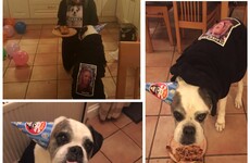 10 of the weirdest pictures sent by our readers