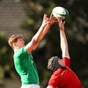 There was Offaly and Limerick hurling interest in the Irish rugby U19 team that faced France