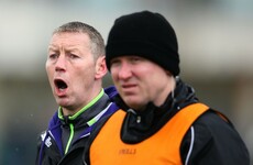 Ciaran Carey makes one change to Kerry team for hurling relegation playoff against Laois