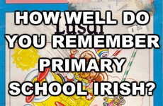 How Well Do You Remember Primary School Irish?