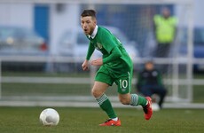 Ireland in good health for the Euros, but future beyond that a cause for serious concern