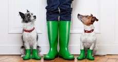 After a sunny week it's all rain and spot flooding for the weekend