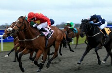 One Irish company's technology is helping create the perfect racehorse