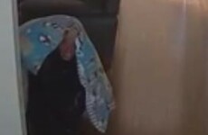 Watch: Thief hides under duvet as he burgles house