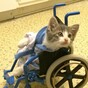 Here's what went viral today: Monday