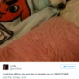 24 tweets about bras every woman will relate to