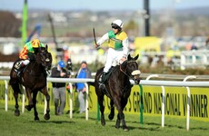 It's better than sticking a pin in the paper - let our foolproof* quiz pick your Grand National horse