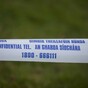 Collopy crime gang facing annihilation after brothers' guilty pleas