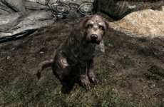 This guy's story of adopting a dog on Skyrim has touched the internet's heart