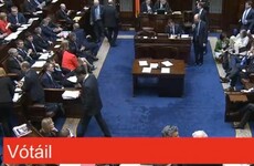 TDs vote to give themselves another 8 days off