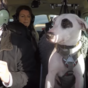 Flying dogs, arranged marriages and 'resurrected' dead relatives: TV trends around the world