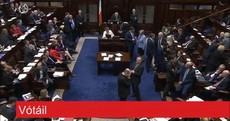 Here are the TDs who voted to take another eight days off from the Dáil