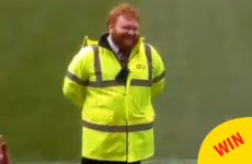 These Munster rugby fans hilariously serenaded a steward Ed Sheeran lookalike