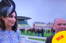 Forget the horses - this man just won the Grand National