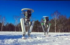 Think Google's robots are weird? You ain't seen nothing yet