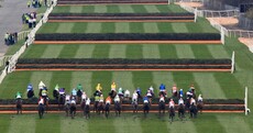 3 each-way shots that could land you a jackpot in the Grand National