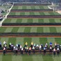 3 each-way shots that could land you a jackpot in the Grand National