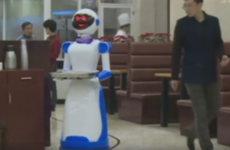 Robot waiters did such a terrible job they forced two restaurants to close