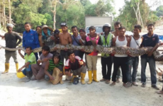 'World's longest snake' dies after capture on tourist island