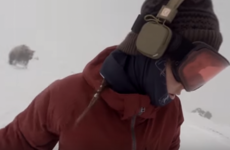 The terrifying moment a snowboarder is unknowingly chased down the slope by a bear